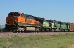 BNSF 1019